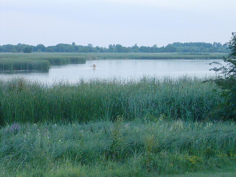 szate (169).jpg